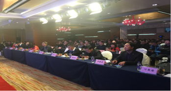河南省软件服务业协会最新动态 引领网络技术服务创新与发展
