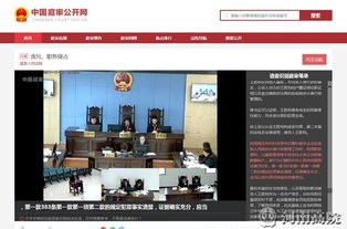河南法院诉讼服务网 便捷高效的司法网络技术服务